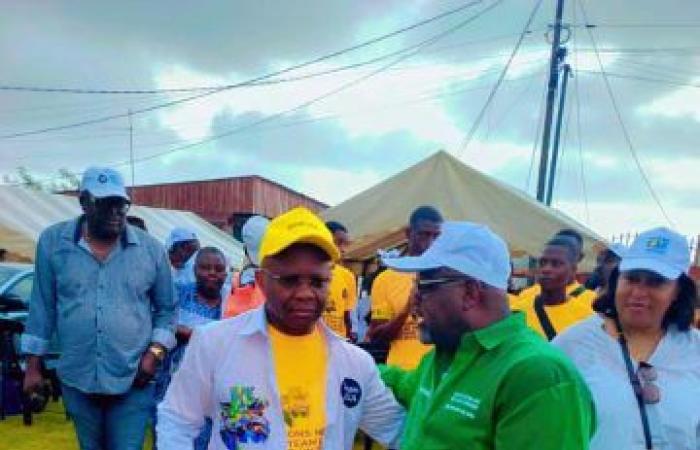 Referendum 2024: The “Team LGA” plowed the terrain in Libreville for the YES | Gabonreview.com