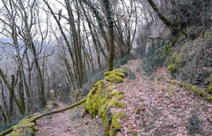 Vayrac. Telethon: the Puy d’Issolud hike