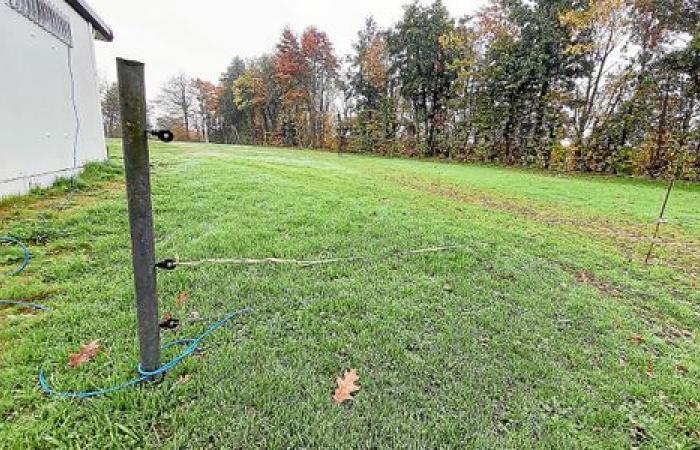 In Jugon-les-Lacs, plowed by wild boars, the football field fenced by the municipality