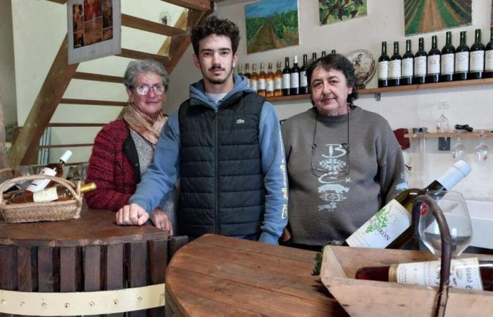 Gironde: at 19, Nicolas David chose to take over his father's wine business in Escoussans