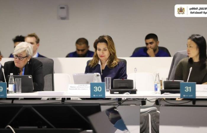 Morocco/COP29: making climate insurance more accessible | APAnews