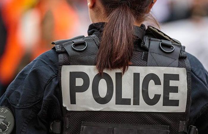 Essonne: police officers victims of violent attack during an arrest – LINFO.re