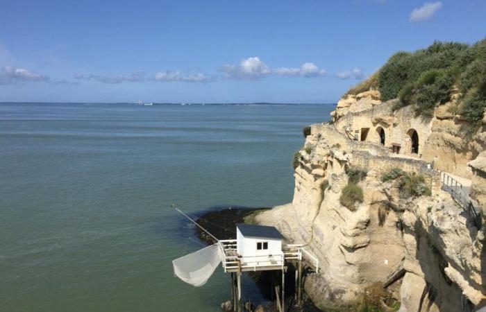 the Régulus caves break the record of 92,000 visitors in 2024