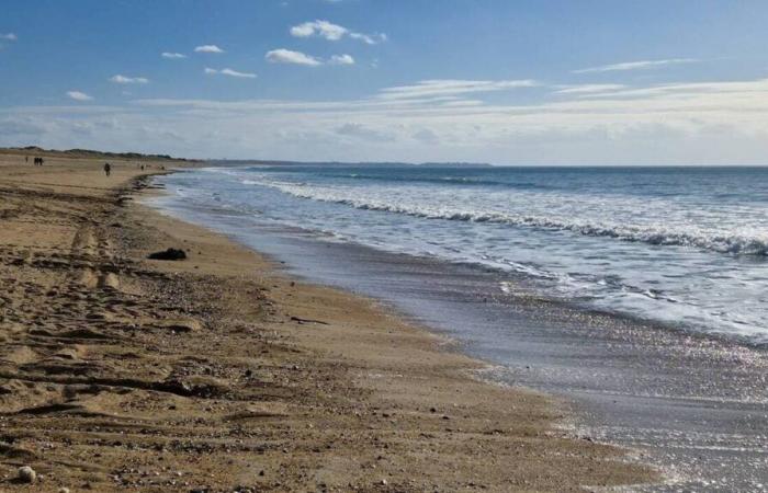 Coutances Sea and bocage wants to accelerate, a municipality plays “the grain of sand”