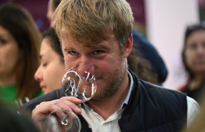 Burgundy wines: Welcome to the kingdom of pleasure tastings in Beaune