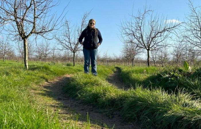 “Closer to self-destruct than to demonstrate”: the distress of a Dordogne farmer facing difficulties