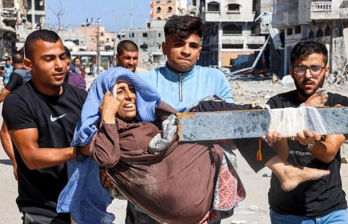 Israel’s war in Gaza: UN committee sees ‘hallmarks of genocide’ | Conflict in the Middle East