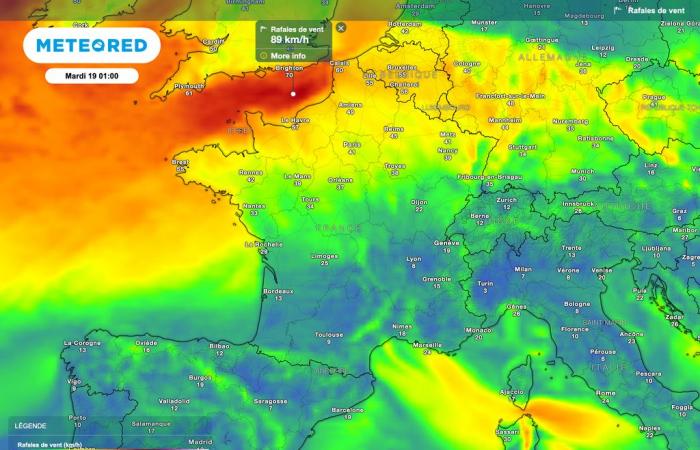 The gale is confirmed in France! Find out the weather forecast and if you are affected