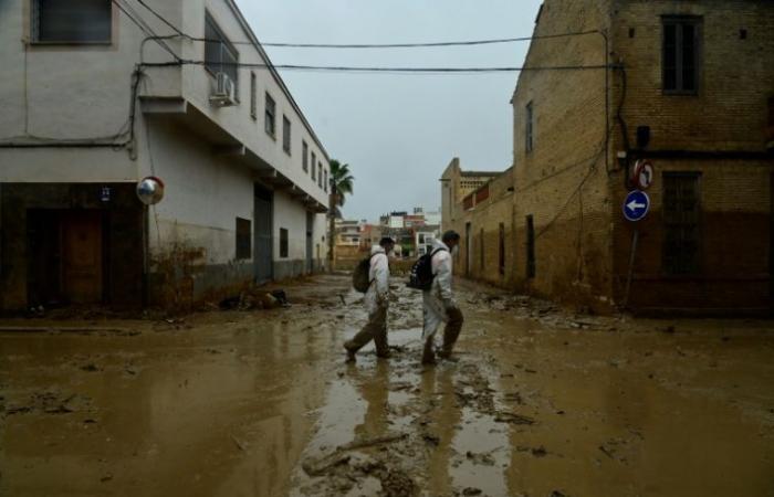 Floods in Spain: the president of the Valencia region admits “errors” but justifies his action – 11/15/2024 at 3:25 p.m.