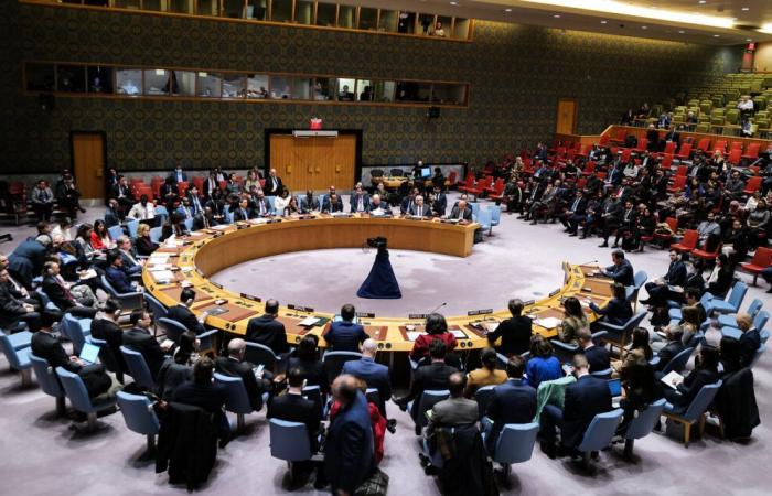 Draft Security Council resolution for a ceasefire and the release of hostages