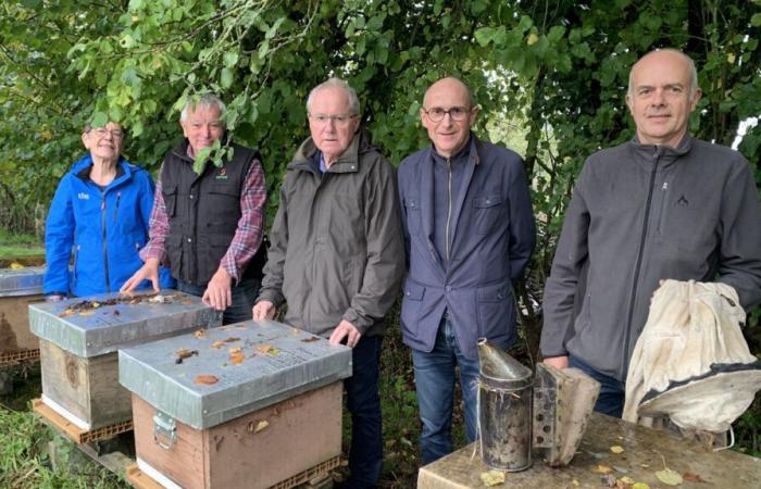 The beekeepers of Deux-Sèvres know how to spread knowledge