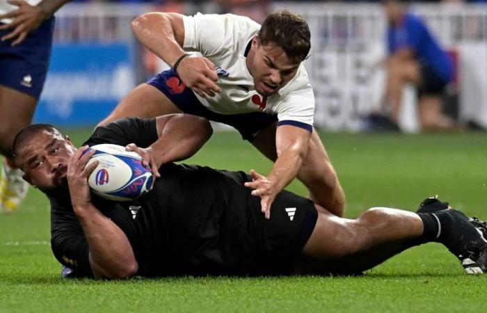 France – All Blacks: what time, on what channel and what lineups for the clash between the two teams?