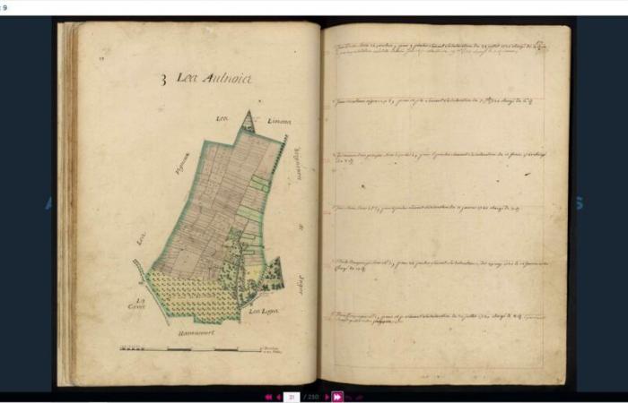 The Yvelines Archives put a new burrow online