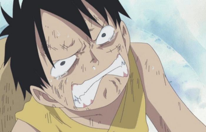 victim of poor health, Eiichiro Oda is unable to draw the rest of the manga