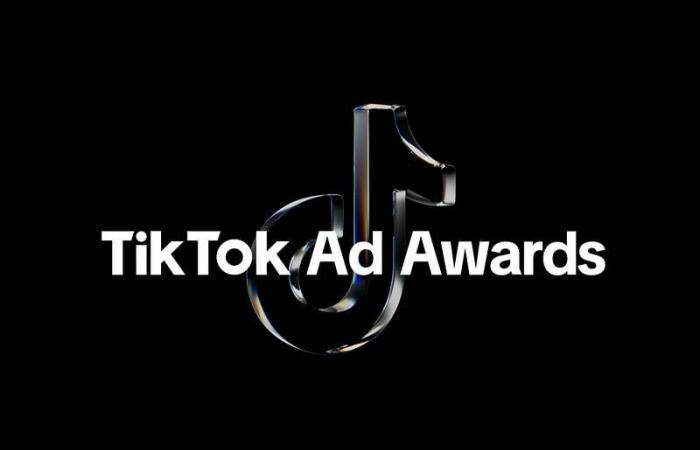 Tribal Morocco, only Moroccan agency shortlisted at the TikTok Ad Awards 2024