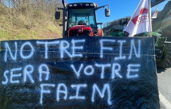 “Our farmers are not doing well in Moselle”, estimates Laurence Adloff of the MSA of Lorraine