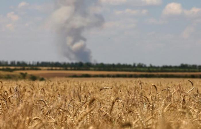 Satellite images reveal impact of war on Ukraine’s wheat production