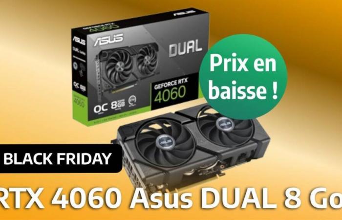 On sale for Black Friday, the Asus RTX 4060 8 GB is available at a price rarely seen