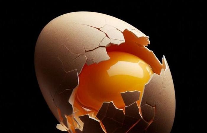 Egg prices still driven by lack of supply