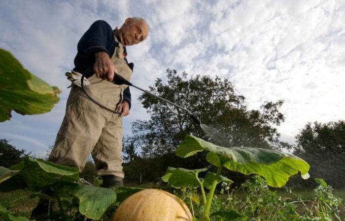 We drink pesticides and they take France to court