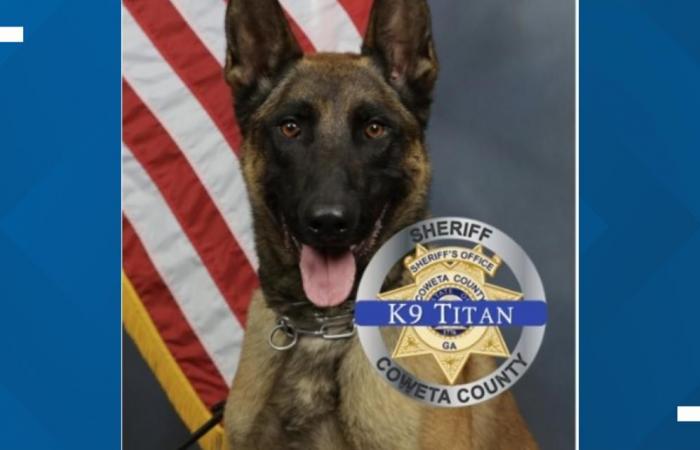 Coweta K-9 killed, deputy injured; suspect fatally shot