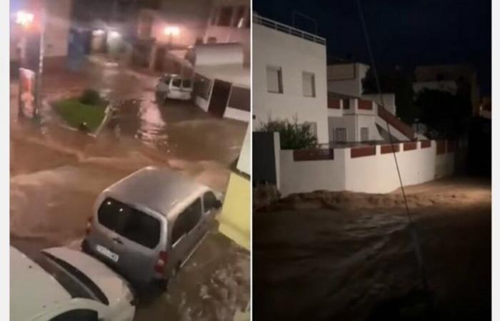 No major damage to citrus fruits following flooding in southern Tarragona