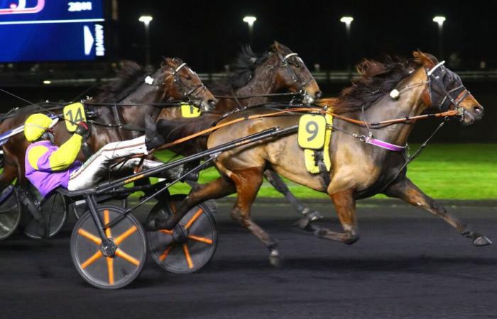 PMU – Arrival of the quinté on Friday November 15 at Paris-Vincennes: Empress Vitela crowned