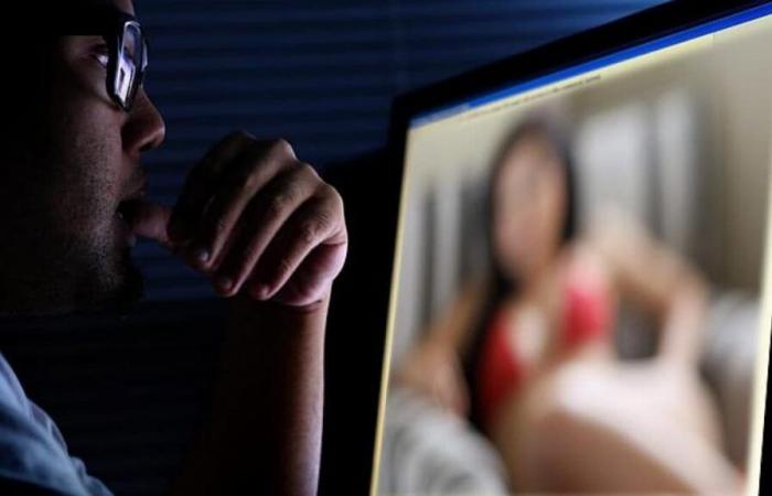 Why certain pornographic sites are no longer accessible from France