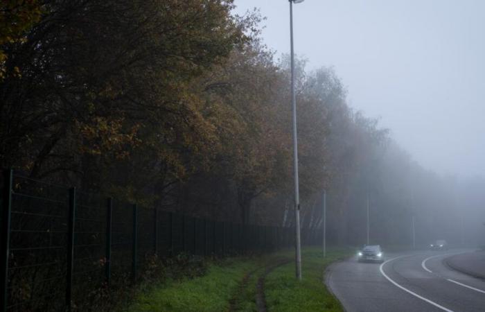 Fog, falling temperatures… here is the weather forecast for the next few days