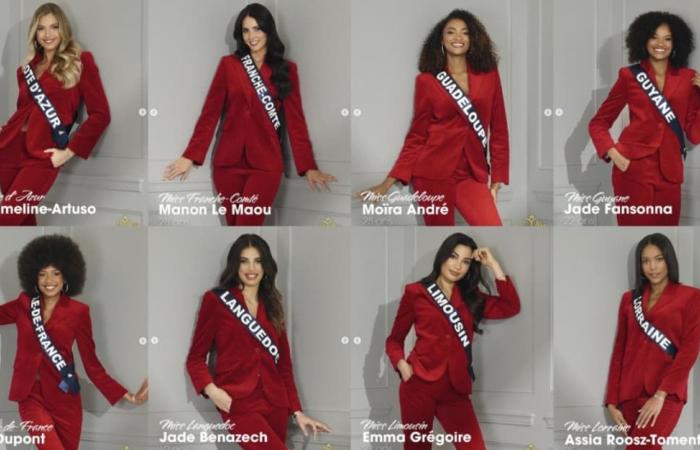 The official portraits of the Miss France candidates revealed