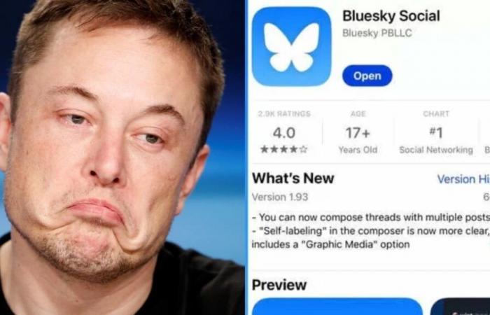 Bluesky crashes as Elon Musk’s X faces exodus, with Hollywood making shift; Elton John, Whoopi Goldberg…