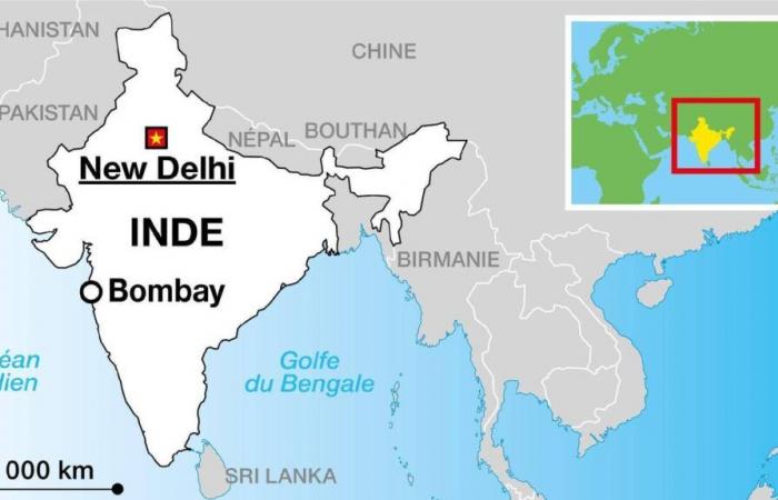 Ten newborns die in hospital fire in India