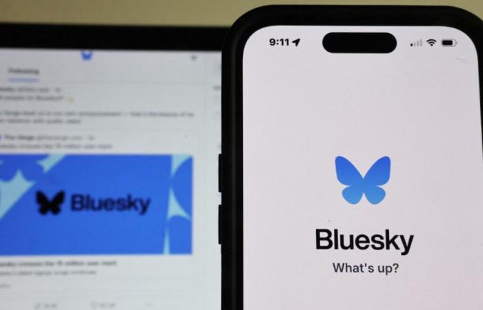 Social networks: Bluesky gains 1 million users in 24 hours, a sign of distrust towards Elon Musk's X – 11/15/2024 at 1:50 p.m.