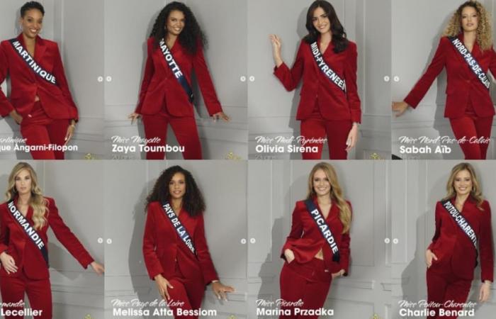 The official portraits of the Miss France candidates revealed