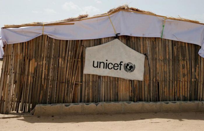 Kidnapped six years ago by jihadists, a Unicef ​​nurse manages to escape to Nigeria