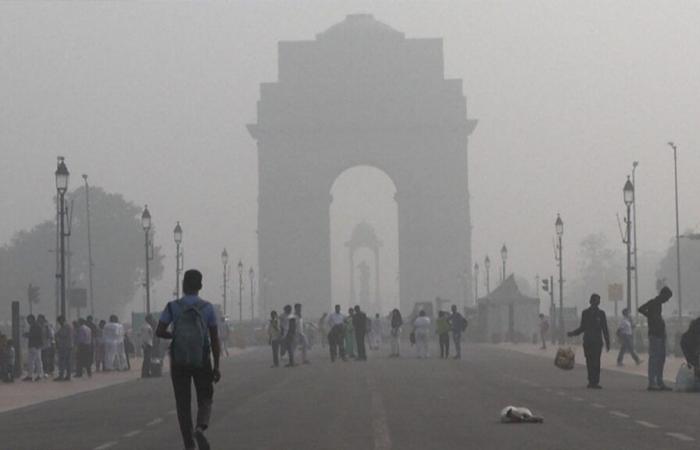 Alarming pollution in New Delhi: minister takes decision to protect children from devastating effects