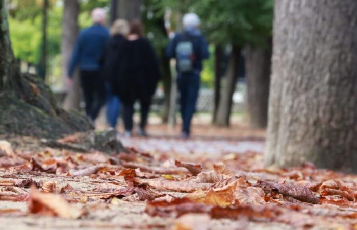 Sunshine and falling temperatures before the return of rain from the North: the weekend weather in France