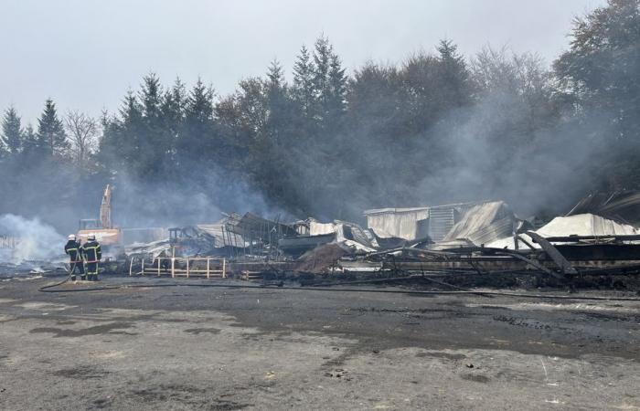 Leading producer of Christmas trees in France, its warehouse is ravaged by a fire: “everything has vanished”