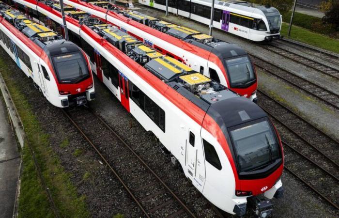 Bad weather drowns Stadler’s hopes of profitability