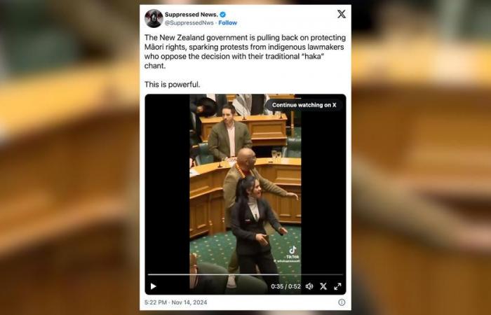 the impressive haka of Maori deputies in the middle of the chamber to protest against a bill (videos)