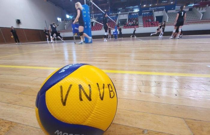 Women’s volleyball: to continue its epic journey in the European Cup, the VNVB is launching a call for donations