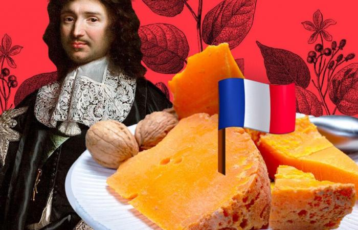 VIDEO. But why is mimolette orange?