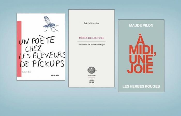 Three essays in the spotlight — Revue Les libraires