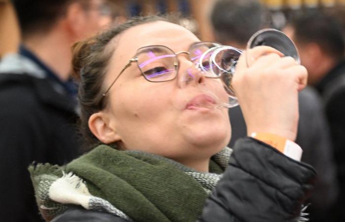 Burgundy wines: Welcome to the kingdom of pleasure tastings in Beaune