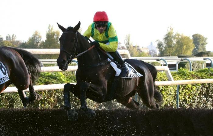 Sunday at Auteuil – Bernard Secly Prize: Beware of \”Nicolle\”