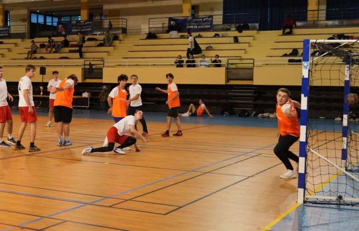 University Sport: 3 gold medals in Basketball, Football and Handball for Le Creusot students