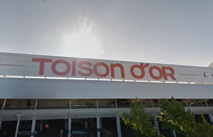 Dijon. A new store opens at the Toison d'Or shopping center, here is which one