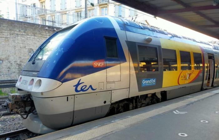 a traveler chases an SNCF controller on a train and threatens him with death