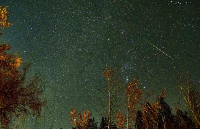 A shower of shooting stars will rain down on Switzerland this weekend