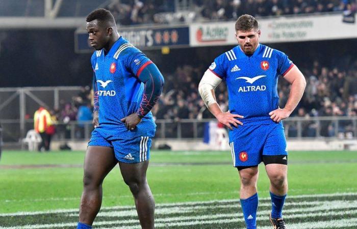 France – New Zealand: “An experience of life”… The memories of Adrien Pélissié, hooker for the Blues during the 2018 summer tour on the other side of the world